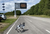 'Spot' the robot dog could be working near you