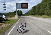 'Spot' the robot dog could be working near you