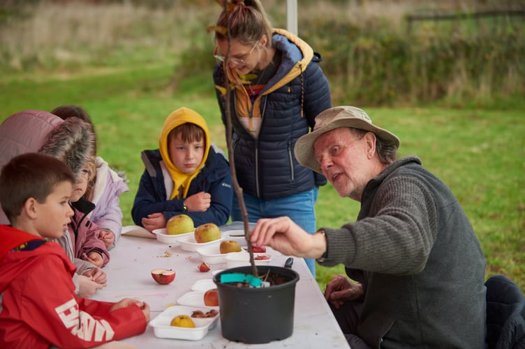 Local school children crushing and planting apple seeds for future apple orchard in their school grounds at Holnicote Estate's tree nursery, Somerset volunteering
