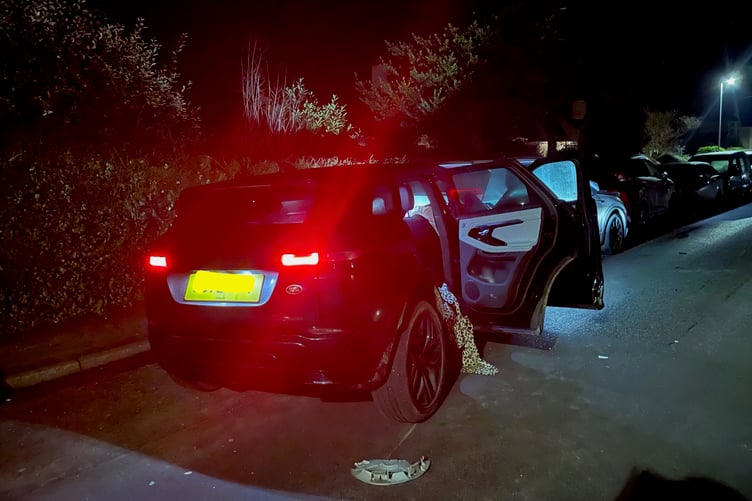 A Land Rover Discovery Sport pictured after it crashed into a row of parked cars in Wellesley Park, Wellington.