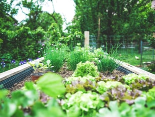 Nynehead garden club returns