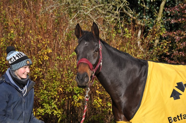 Dashel Drasher at home wearing his Betfair winning rug