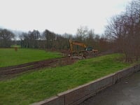 Rugby club promises new trees in pitch project