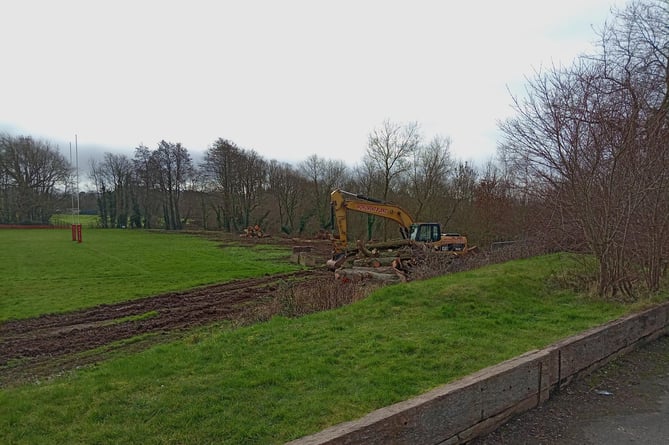 Trees being removed in the former Beech Grove School field to make way for a rugby pitch.