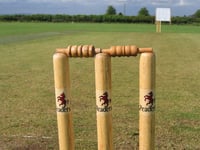 Somerset submit bid for professional women's cricket