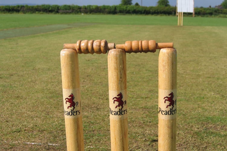 cricket stumps