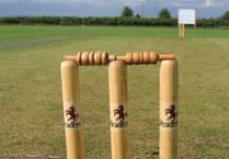 Wellington 3rds stay unbeaten with convincing victory