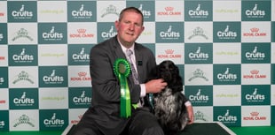 Wellington bus driver takes Ukrainian refugee dog to top Crufts title