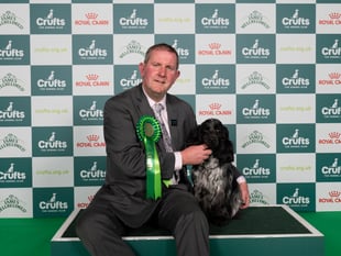 Wellington bus driver takes Ukrainian refugee dog to top Crufts title