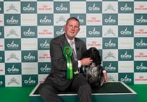 Wellington bus driver takes Ukrainian refugee dog to top Crufts title