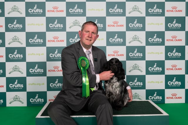 Wellington man Michael Master's Cocker Spaniel Adriana was named "best of breed" at the Crufts dog show
