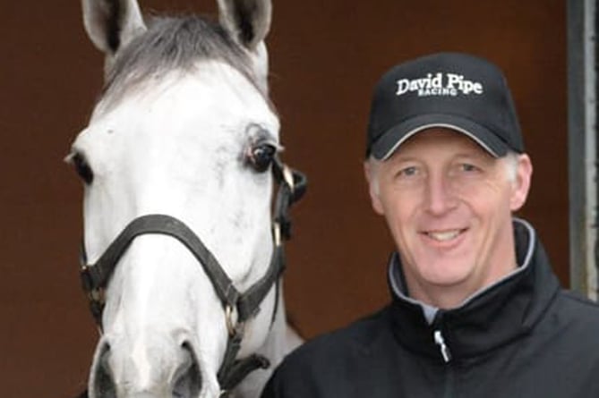 Racehorse trainer David Pipe