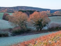 Members say town council needs permanent climate change officer