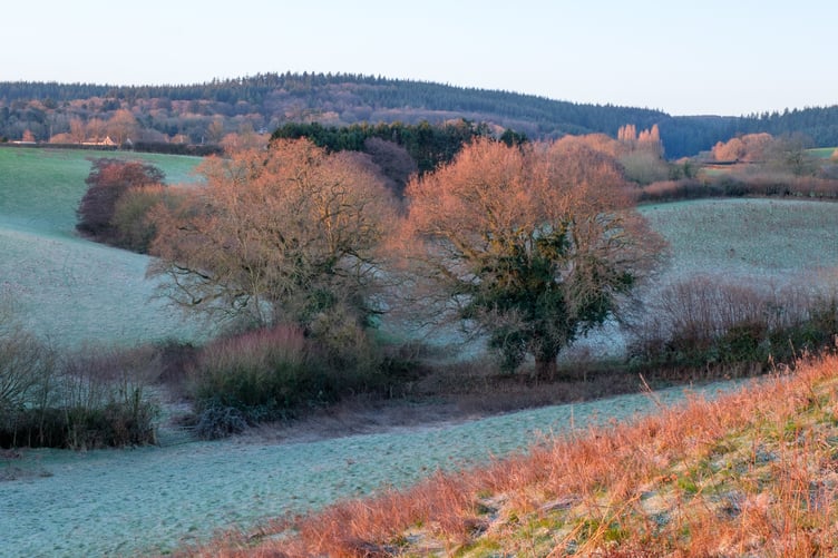 Councillors believe that Wellington Town Council needs a permanent climate change project officer