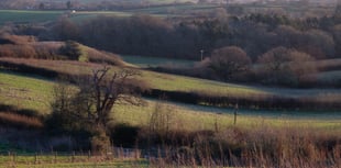 Local views sought on Quantock plans