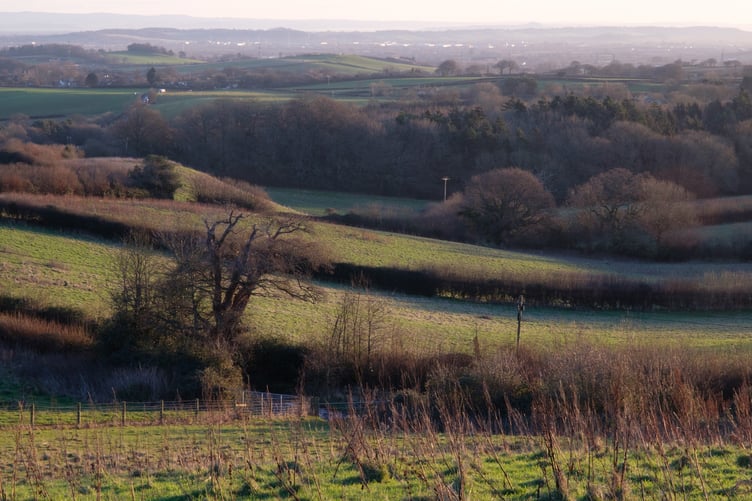Looking across New Stowey Farm, on the Quantock Hills.