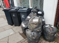 Residents told 'don't feed the bin' in food waste campaign