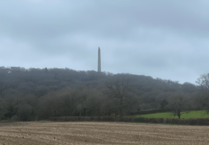 Wellington Weekly Letters