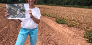 Rebecca Pow MP 'thrilled' by 'fresh progress' on new station plans