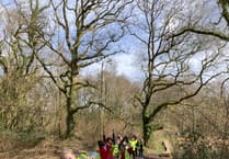 Langford Budville School pupils raise nearly £350 from sponsored walk