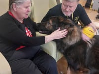 Therapy dog Rex 'a joy' for care home residents