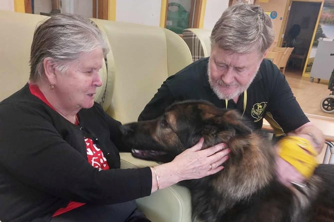 Rex the therapy dog has been helping residents to relax in a Wellington care home 