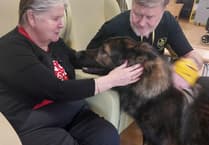 Therapy dog Rex 'a joy' for care home residents