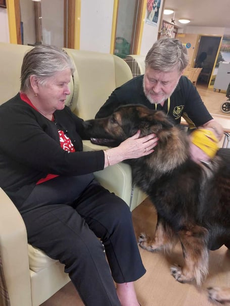 Rex the therapy dog has been helping residents to relax in a Wellington care home