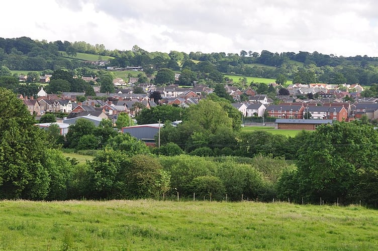 Hemyock residents are petitioning against an order 'banning' dog walkers from the local park