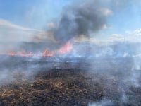 Acres of crops destroyed in separate field fires