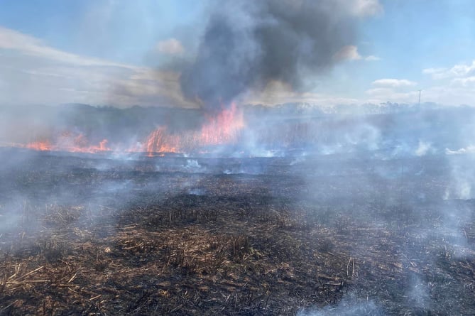 Dramatic scenes as 14 acres of crops went up in flames near Broomfield on the Quantock Hills.