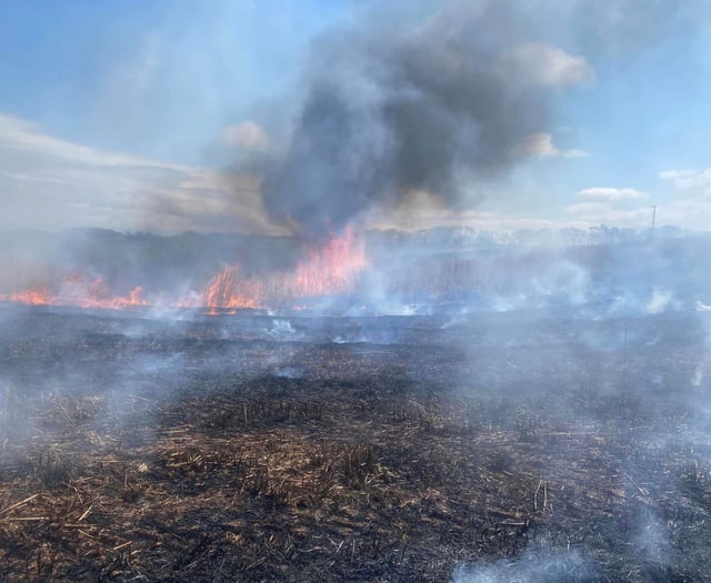 Acres of crops destroyed in separate field fires