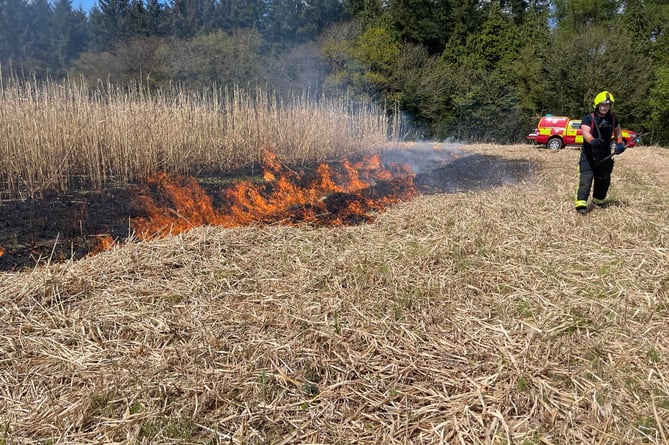 Firefighters tackled a 14-acre field of crops which caught alight on the edge of the Quantock Hills, on Saturday.