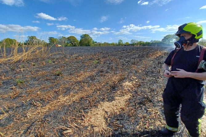 Wellington firefighters also helped put out a nine-acre crop field fire near Kingston St Mary