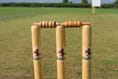 West Somerset Cricket League underway
