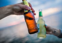 How the government's licensing 'reforms' will affect Wellington and West Somerset