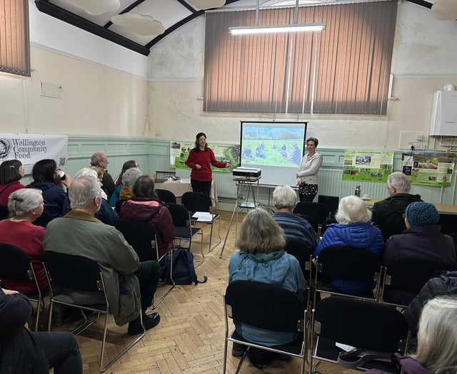 Wellington's Big Green Week drew crowds and is deemed success