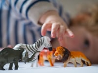 Record number of children in care in Somerset