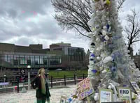 MP in talks on international plastics pollution treaty