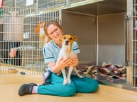 Animal hospital near Wellington is top dog for canine welfare