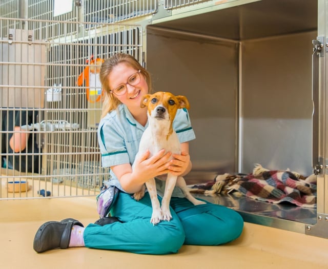 Animal hospital near Wellington is top dog for canine welfare