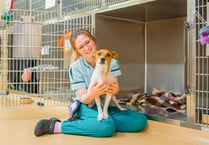 Animal hospital near Wellington is top dog for canine welfare