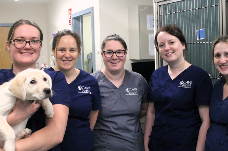 Cave Veterinary Specialists