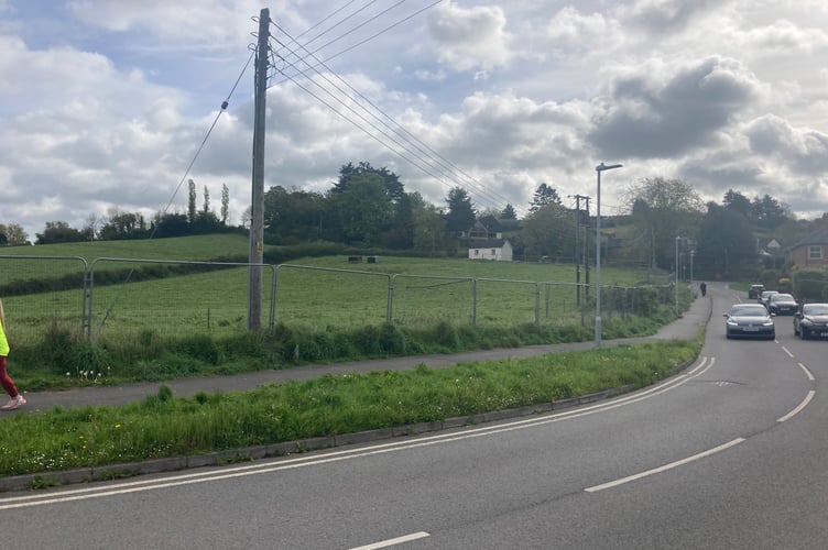 Proposed site of 71 homes on Burges Lane in Wiveliscombe  (Daniel Mumby)