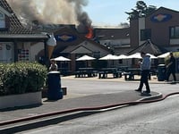 Wellington firefighters battle pub blaze