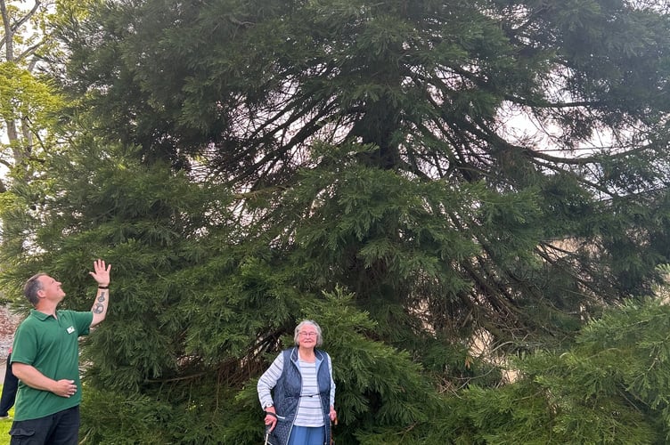 Isabel Ward with current Head Gardener Justin Cole at the trees, May 2024 