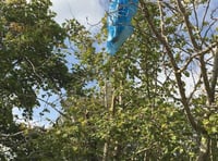 No fines for dog fouling in two years across Somerset