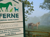 Animal charity's wildlife event to raise urgent funds to secure future