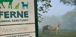Ferne Animal Sanctuary's Summer Fayre will be held this weekend