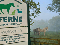 Animal sanctuary gears up for summer fete 